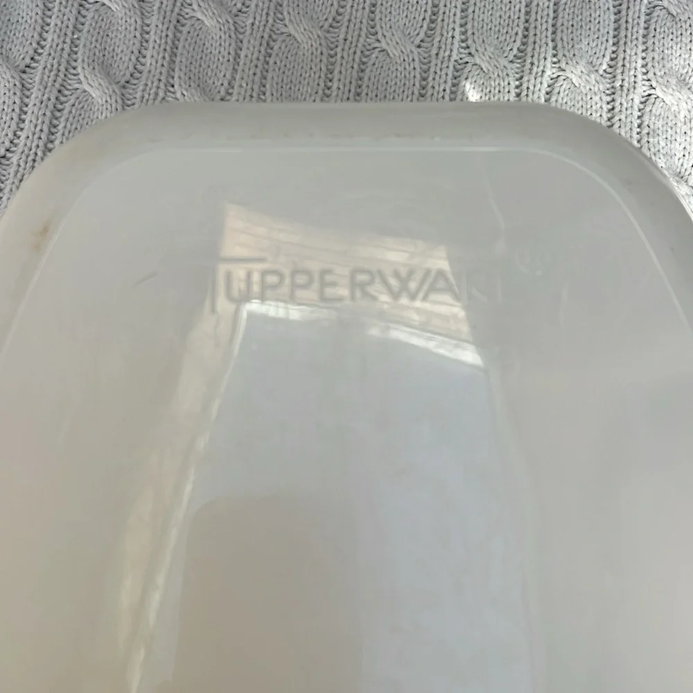 VINTAGE TUPPERWARE ROAST FLAVOR SAVER STORAGE KEEPER Ham Turkey. oval with lid